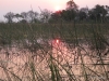 Sunset, Okavango Delta