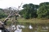 Yala National Park -- Crocodile lagoon