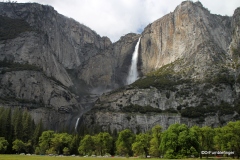 Yosemite Falls -- viewed from  across valley floor