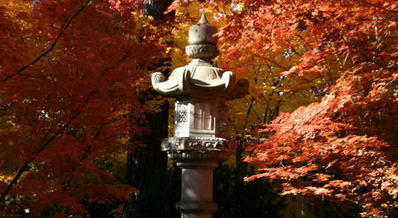 A Fall Visit To The Nishinomiya Tsutakawa Japanese Garden Spokane