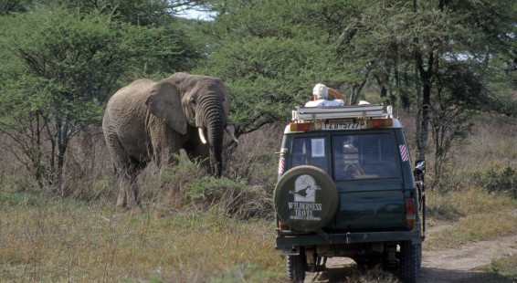 1999 Tanzania Serengetti 001