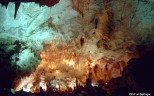Carlsbad Caverns.  6-1989 001 intro