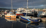 Dingle Town 2013-011 Harbor