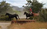 2014 17a April 25d Gauchos at roundup, Torres Del Paine