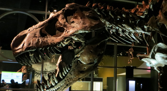 2014 25c June 21 T. Rex. Royal Tyrrell Museum