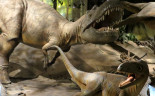 006 Royal Tyrrell Museum, Drumheller.  Albertosaurus 69,000,000 yrs ago
