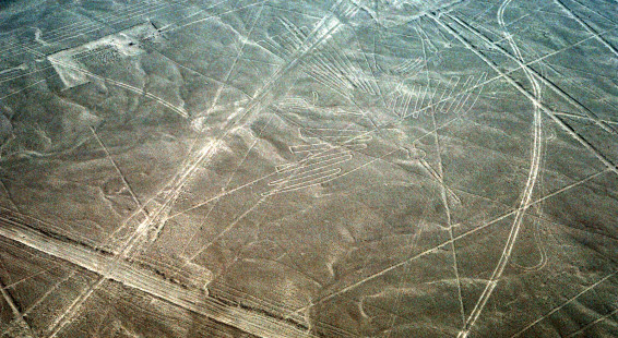31 Nazca lines. Condor