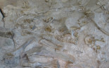 12 Dinosaur National Monument.  Fossil Bone quarry site