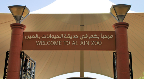 02 Al Ain Zoo (1)