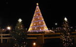 18 National Christmas Tree (1)