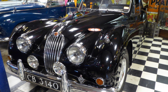 12 Cotswold Motoring Museum and Toy Collection Jaguar XK 140 1956