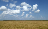 00 Prairie crops, Manitoba (16)