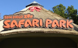 San Diego Zoo Safari (1)