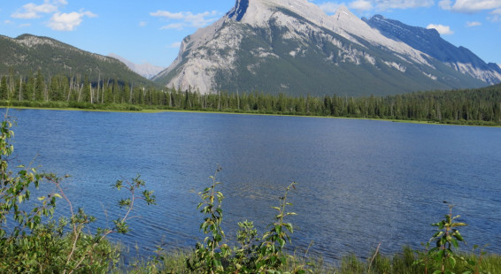 Banff area, summer 2014 (106) Vermillion Lakes