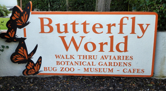 01 Butterfly World, Florida (1)