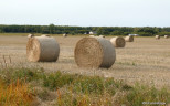 02 Hay field near Anola (1)