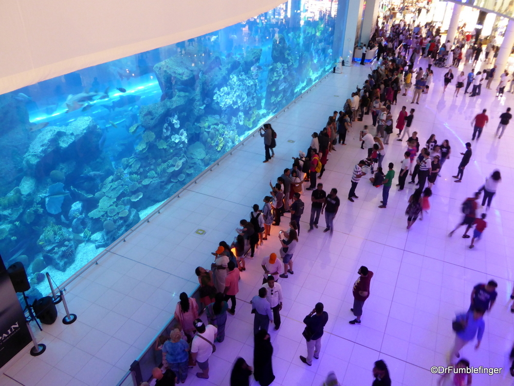 Aquarium at the Dubai Mall